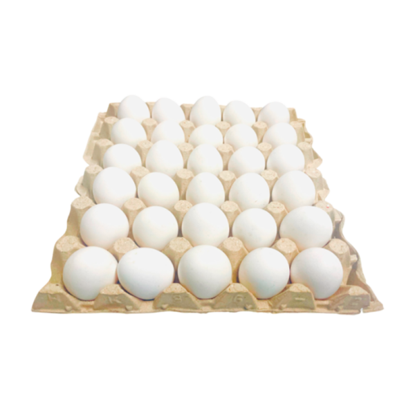 Carton de Huevos 30u